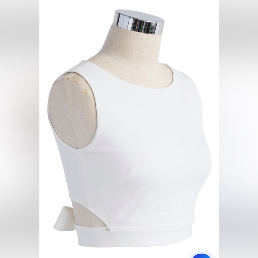 Chic Wish A Fan of the Bowknot Crop Top in white